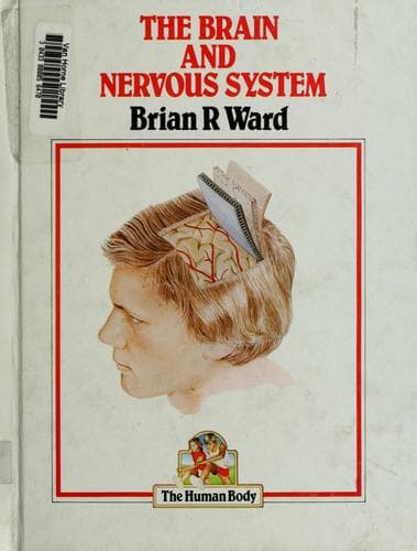 Tapa de The brain and nervous system
