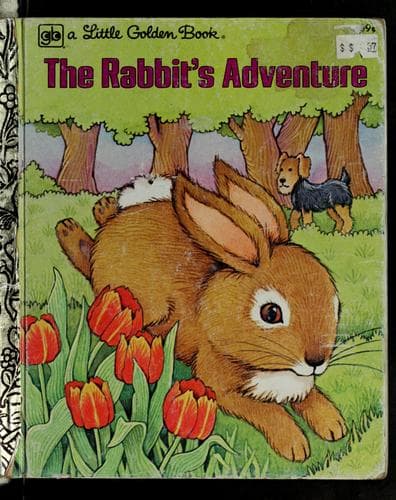 Tapa de The rabbit's adventure