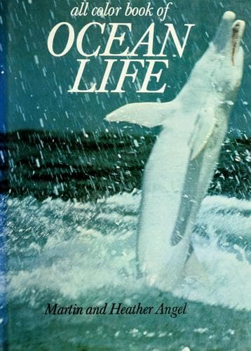 Tapa de Ocean life