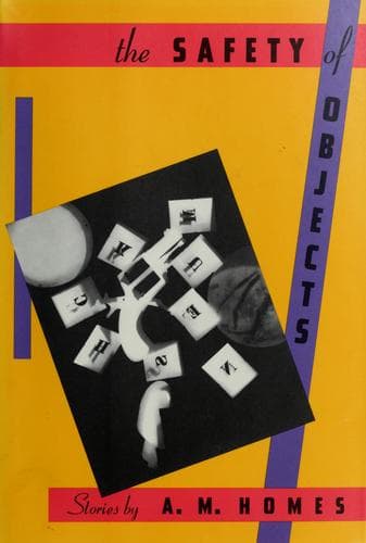 Tapa de The safety of objects