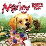 Tapa de Marley