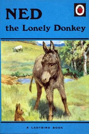 Tapa de Ned, the lonely donkey