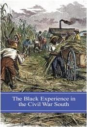 Tapa de The Black experience in the Civil War South