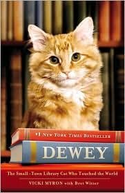 Tapa de Dewey the Library Cat