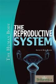 Tapa de The reproductive system