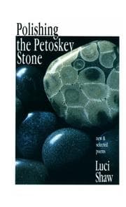 Tapa de Polishing the Petoskey stone