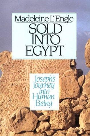 Tapa de Sold into Egypt