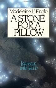 Tapa de A Stone for a Pillow (Genesis #2)