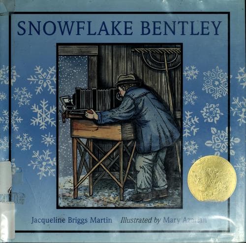 Tapa de Snowflake Bentley