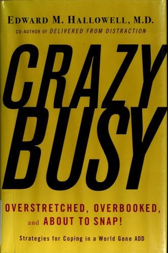 Tapa de CrazyBusy