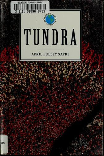 Tapa de Tundra