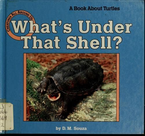 Tapa de What's under that shell?