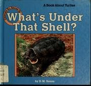 Tapa de What's under that shell?