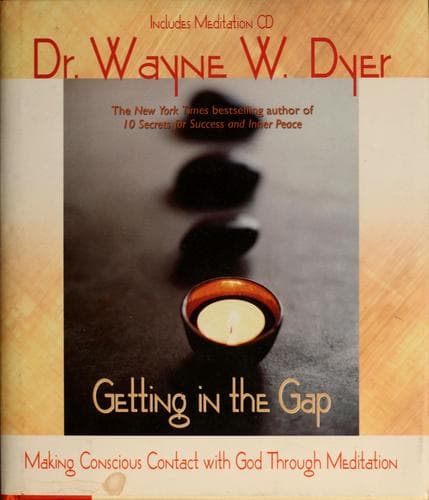 Tapa de Getting in the gap