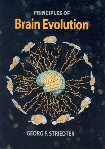 Tapa de Principles of Brain Evolution