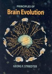 Tapa de Principles of Brain Evolution