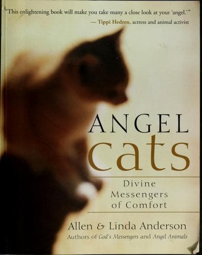 Tapa de Angel Cats