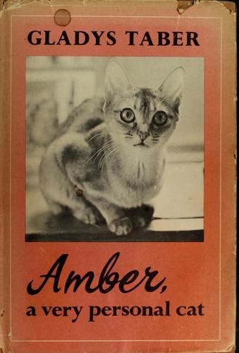 Tapa de Amber; a very personal cat