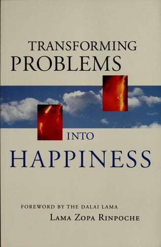 Tapa de Transforming problems into happiness