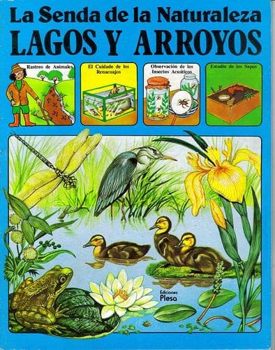 Tapa de Lagos y Arroyos