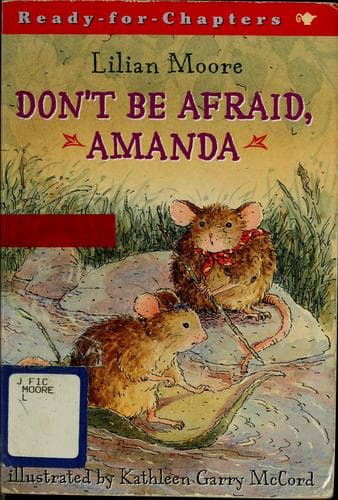 Tapa de Don't Be Afraid, Amanda