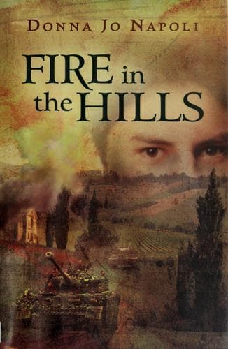 Tapa de Fire In The Hills