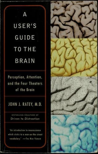 Tapa de A user's guide to the brain