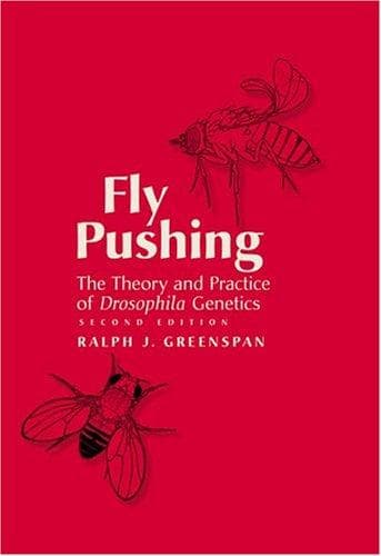 Tapa de Fly pushing