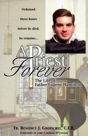 Tapa de A priest forever