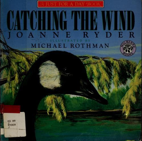 Tapa de Catching the Wind (A Just for a Day Book)