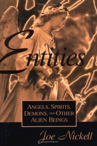 Tapa de Entities