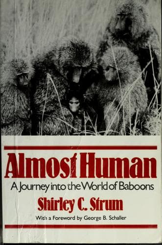 Tapa de Almost Human