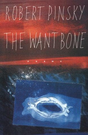 Tapa de The Want Bone