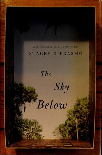 Tapa de The sky below