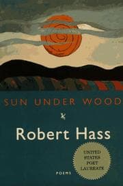 Tapa de Sun under wood