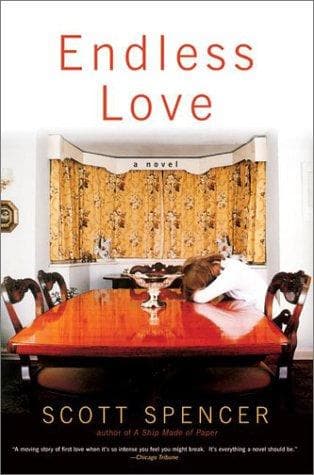 Tapa de Endless love
