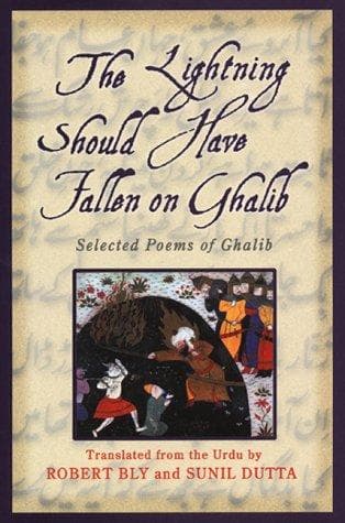 Tapa de The lightning should have fallen on Ghalib