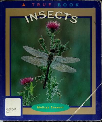 Tapa de Insects (True Books)