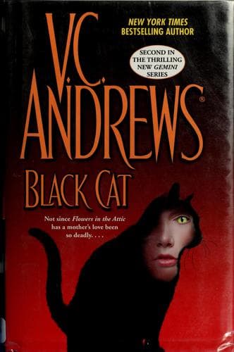 Tapa de Black cat