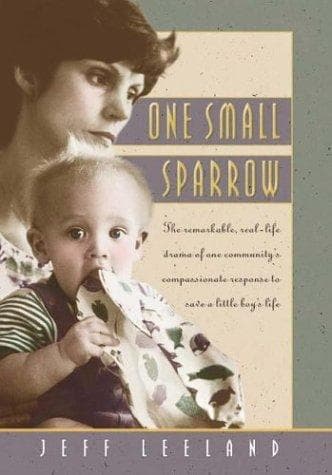Tapa de One small sparrow