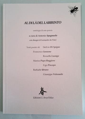 Tapa de Al di là del labirinto