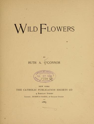 Tapa de Wild flowers
