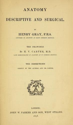 Tapa de Anatomy : descriptive and surgical