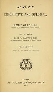 Tapa de Anatomy : descriptive and surgical