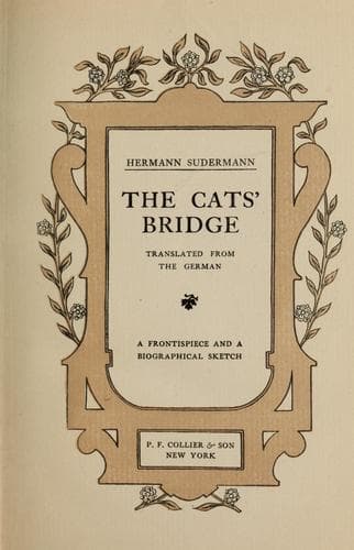 Tapa de The cats' bridge