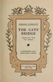 Tapa de The cats' bridge