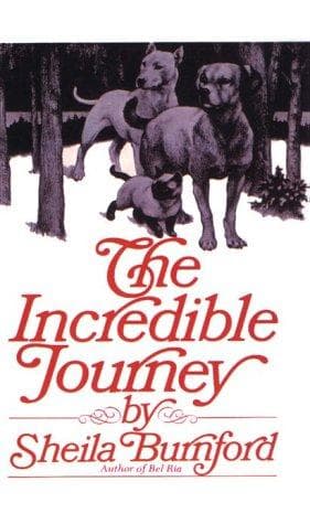 Tapa de The Incredible Journey