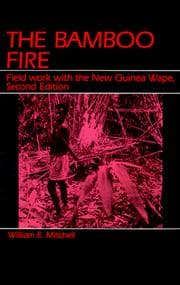 Tapa de The bamboo fire