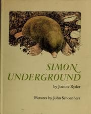 Tapa de Simon underground