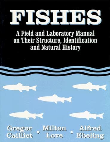 Tapa de Fishes